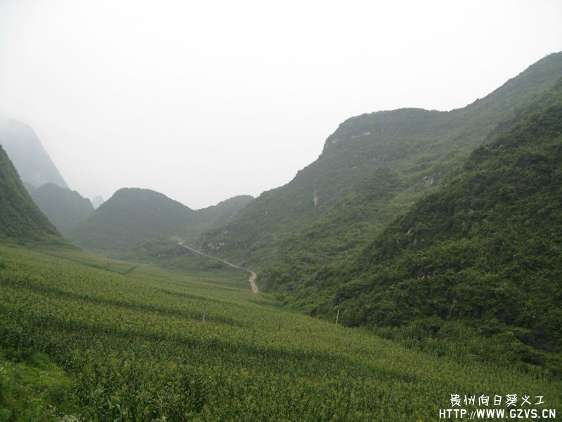 竹子托村 竹子托村