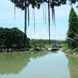 漁湖 漁湖