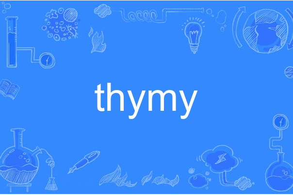 thymy thymy