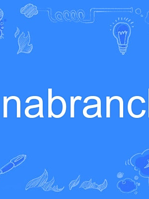 anabranch anabranch