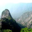 駝背峰