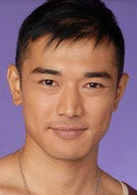舞動全城(2007年馬浚偉、廖碧兒主演電視劇)