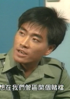 新紮師兄續集(新紮師兄（1985年梁朝偉主演TVB電視劇）)