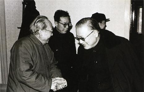 楊愷（左）與錢偉長（右）（1983年1月）