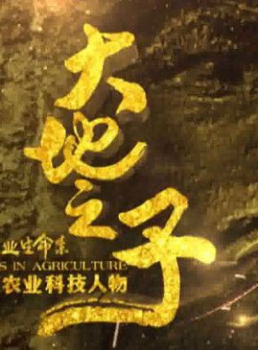 娜仁花(電影演員、導演)