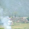 小麥地沖村(雲南丘北縣八道哨鄉下轄村) 小麥地沖村(雲南丘北縣八道哨鄉下轄村)
