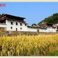 公館峽民居 公館峽民居