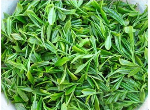 威海綠茶