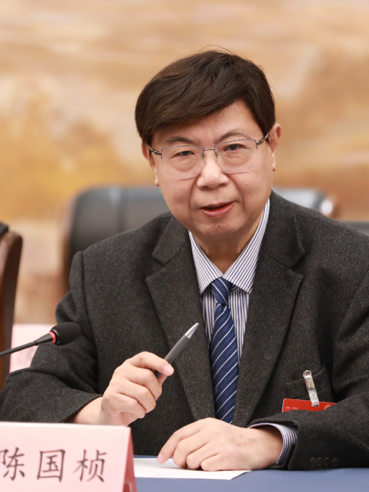 陳國楨(第十四屆全國人大代表,河南省人民政府參事,書畫家,開封書畫院院長) 陳國楨(第十四屆全國人大代表,河南省人民政府參事,書畫家,開封書畫院院長)