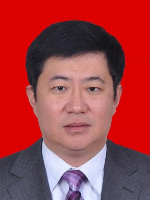 王濤(陝西省西安市臨潼區人民政府辦公室主任)