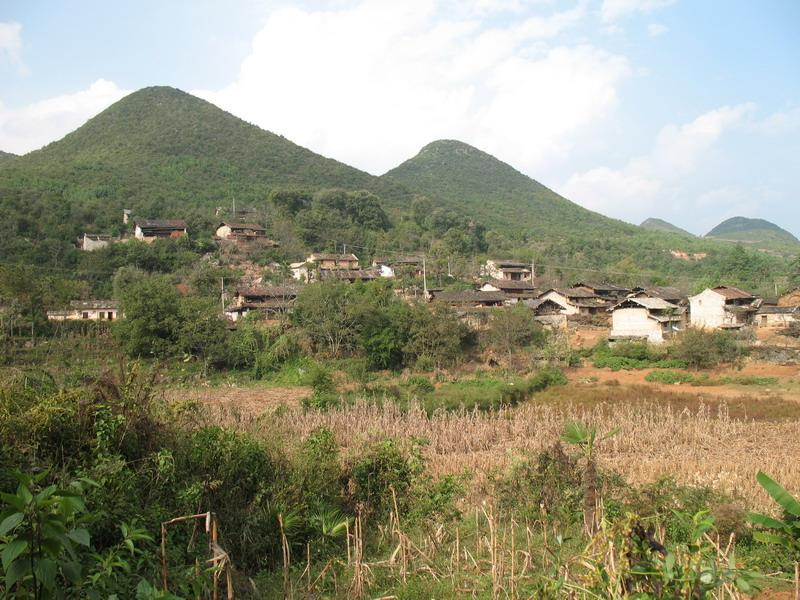 味山午村 味山午村