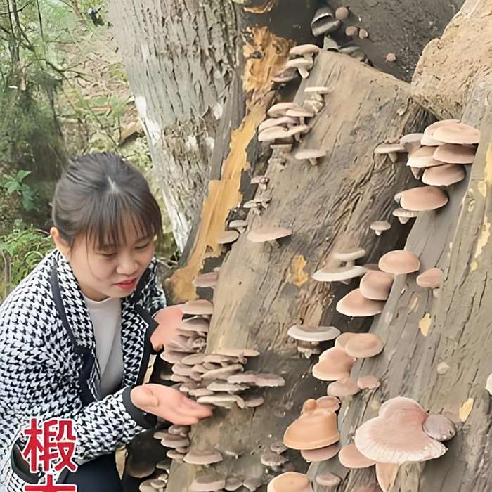 小麗土特產 小麗土特產