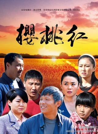王天澤(中國內地影視童星演員) 王天澤(中國內地影視童星演員)