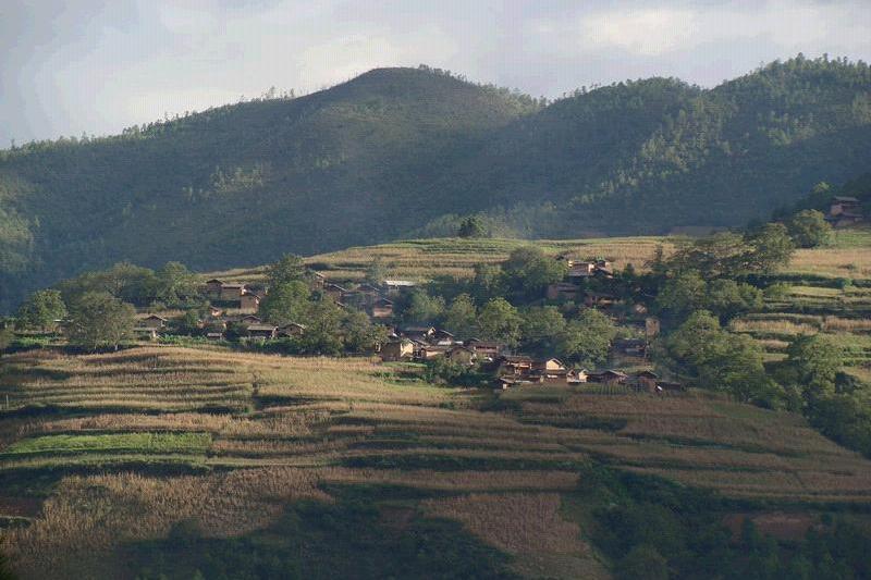 杉橋村 杉橋村