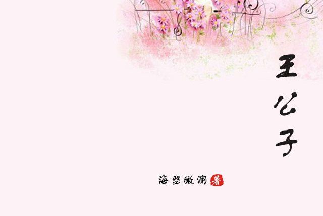 王公子 王公子