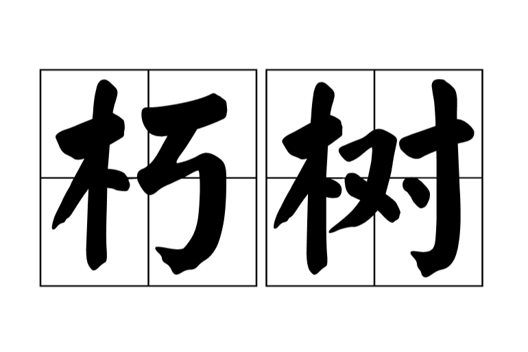 朽樹 朽樹