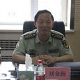 劉金海(抗日遠征軍老戰士) 劉金海(抗日遠征軍老戰士)