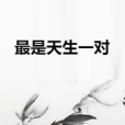 最是天生一對 最是天生一對