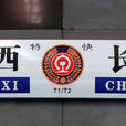T1次 T1次
