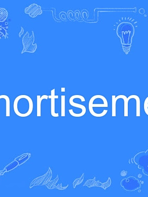 amortisement amortisement