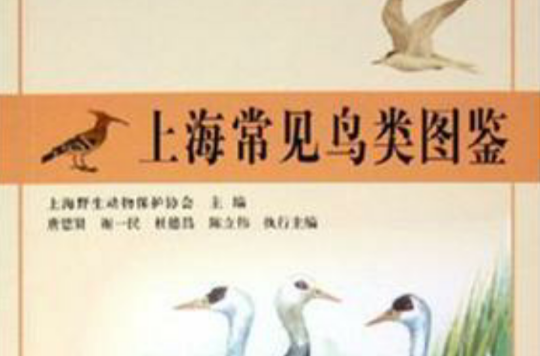 上海常見鳥類圖鑑