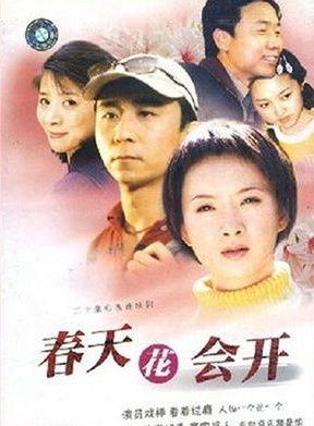 謝蘭(中國大陸女演員)