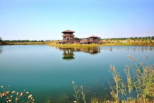 姜山濕地 姜山濕地