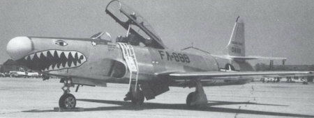 第 61 戰鬥截擊機中隊的 F-94A 的特色塗裝
