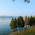 鳳凰湖(四川省成都市鳳凰湖) 鳳凰湖(四川省成都市鳳凰湖)