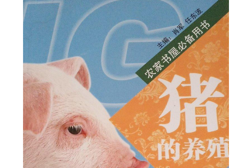 豬的養殖 豬的養殖