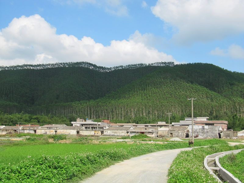 蝦山村 蝦山村