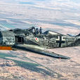 FW-190戰鬥機(德國FW-190型戰鬥機)