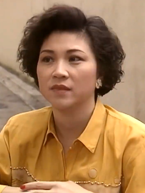 何玉冰(電視劇《我本善良》中的角色) 何玉冰(電視劇《我本善良》中的角色)