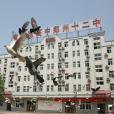 鄭州市第十二中學(鄭州十二中) 鄭州市第十二中學(鄭州十二中)