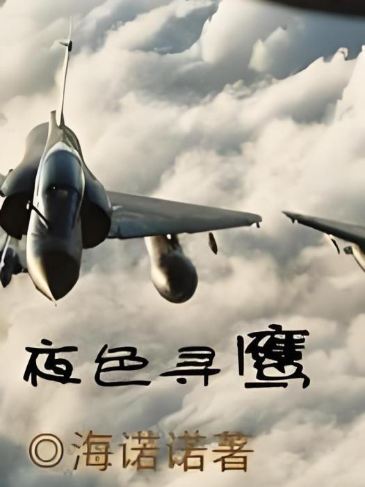 夜色尋鷹 夜色尋鷹