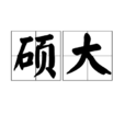 碩大 碩大