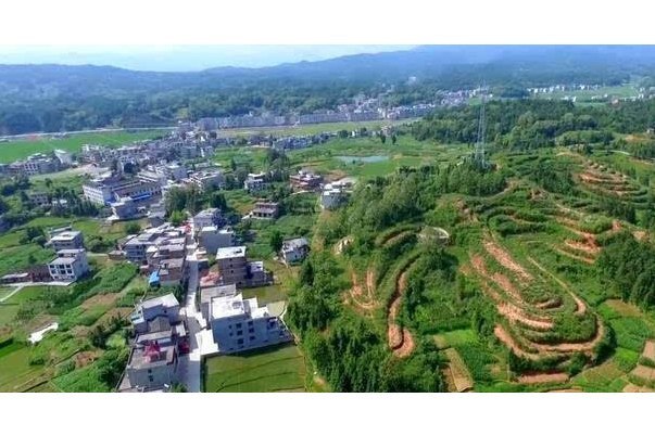 背坳村 背坳村