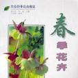 春季花卉 春季花卉