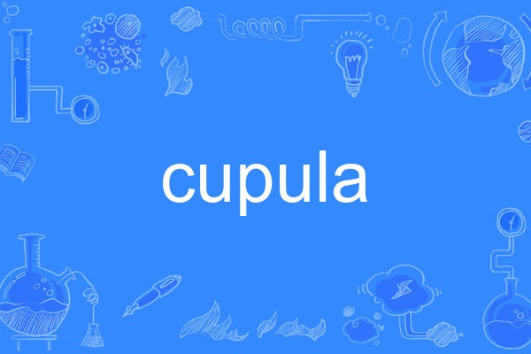 cupula cupula