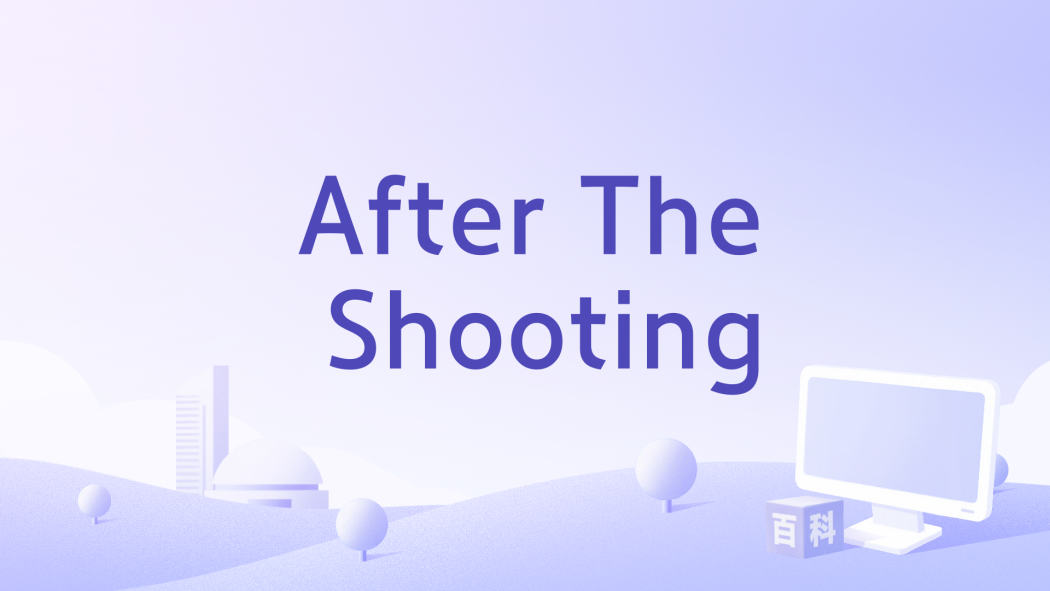 After The Shooting After The Shooting