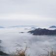天目山(臨安天目山)