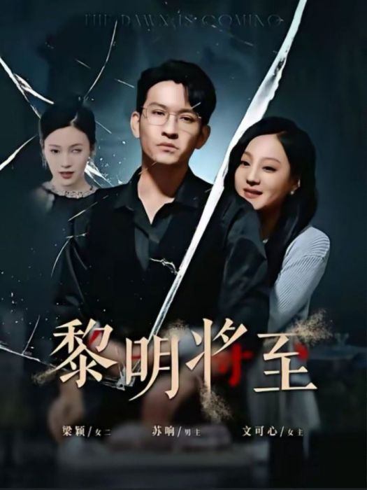 黎明將至(瀋陽億錦網路科技有限公司製作的短劇)