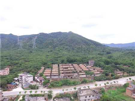 鐘樓村(廣東省廣州從化市太平鎮下轄村)