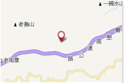 大毛木樹 大毛木樹
