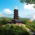 百花寺 百花寺