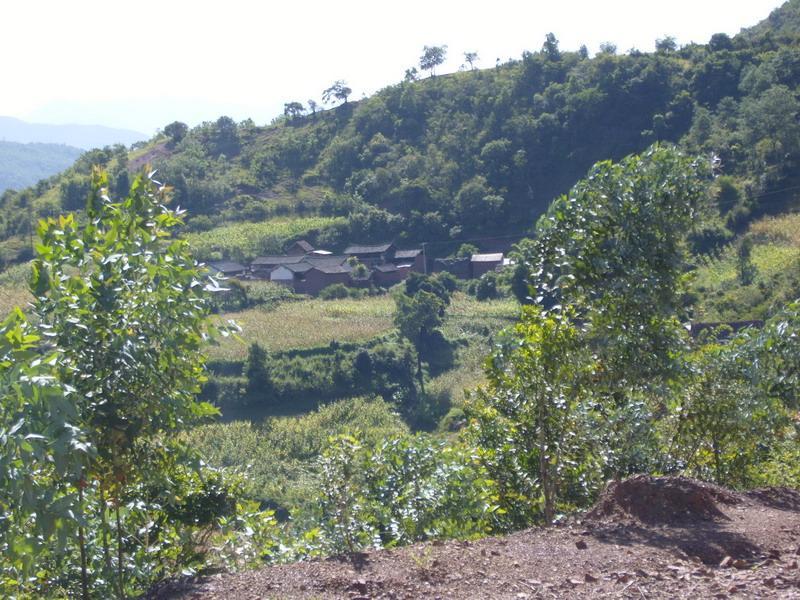 牛鼻村 牛鼻村