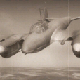 Pe-3 重型戰鬥機