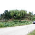 虎形村 虎形村