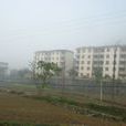 燎原村(黑龍江省嘉蔭縣燎原村) 燎原村(黑龍江省嘉蔭縣燎原村)