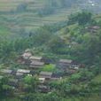 嶺崗村(雲南省雲縣幸福鎮下轄村) 嶺崗村(雲南省雲縣幸福鎮下轄村)